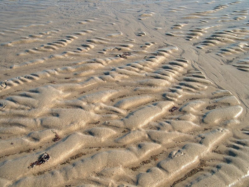 Neuschwanstein Castle